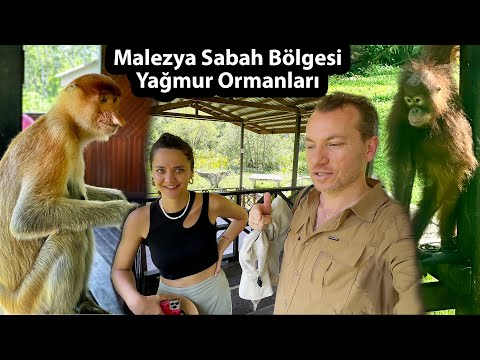 Su Köyü, Orangutan, Timsah ve Hortum Burunlu Maymunlar, Pazarlar -  Malezya'ya Bakışınız Değişecek!
