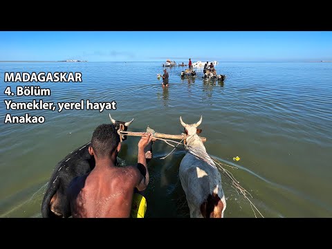 Madagaskar 4. Bölüm - Anakao Balıkçı Kasabası ve Yerel Hayat