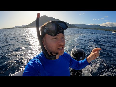 Süper Hızlı Bot, Yunuslarla Yüzmek ve Akvaryum Gibi Bir Denize Dalış