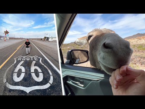 Route 66 Yolculuğum - Amerika'nın En Meşhur Yolu