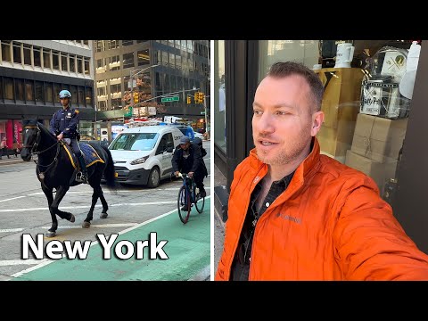 New York Gezim - Manhattan, Brooklyn, Yemekler, Times Meydanı, Central Park