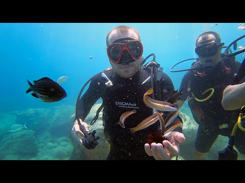 Gökçeada'daki Sualtı Dalışım