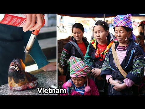 Köpek Eti De Satılan Yerel Bir Pazardayım - Vietnam