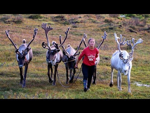 Dukha Türkleriyle Geçirdiğim 3 Gün - MOĞOLİSTAN