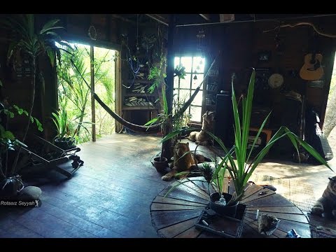 Her Şeyi Bırakıp Adada Yaşayan Reiner'ın Evi ve Gitar Performansı