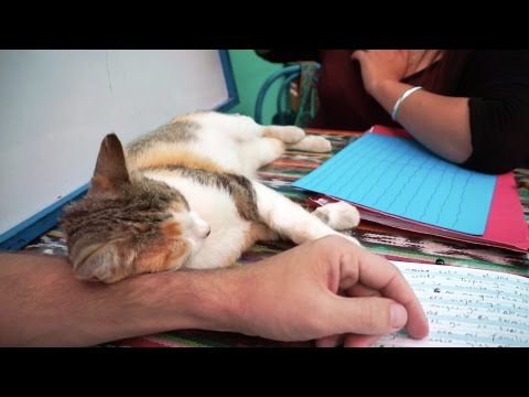 1 Ayda İspanyolca Öğrendim - GUATEMALA