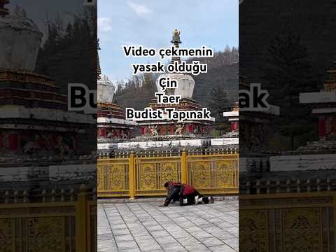 Çin Taer Budist Tapınak 🏔️ #budizm #çin #china #karavan #worldtour