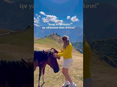 Sevgi iyileştirir! #karavan #vanlifevoyages #travel #worldtour #georgia  #kazbegi