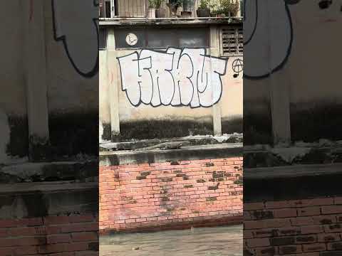 Bu Canlıyı İlk Defa Böyle Gördüm! Tayland sokaklarında çılgın anlar