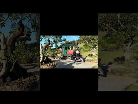 Vietnam’da Çiçekler Şehri Da Lat