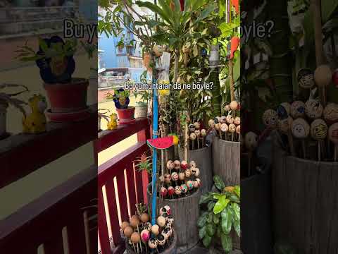 Bangkok’un En İlginç Köşesi! Yumurta Kabuğundan Yüzler Ne Anlama Geliyor?