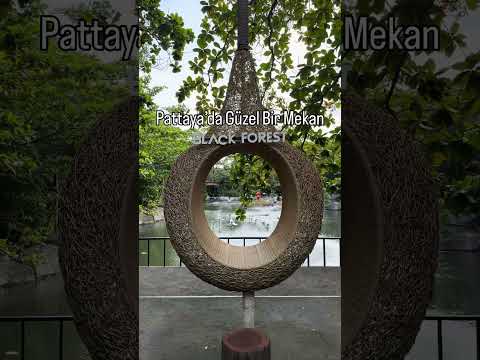 Pattaya’da Gizli Cennet: Ailece Gidilecek Orman İçindeki Restoran