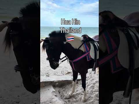 Hua Hin’de Güneş, Deniz ve Huzur ☀️🌊