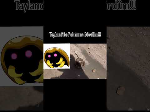 Sahilde Pokémon Buldum Sandım 😅🌊