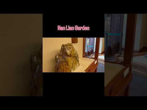 Hong Kong’un En Huzurlu Noktası! Ücretsiz Girişli Nan Lian Garden 🌿