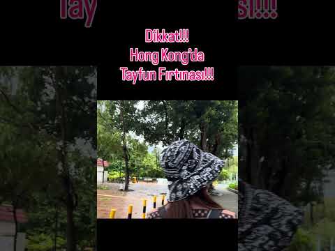 Hong Kong’da Tayfun Mevsimi Başladı! 🌬️🌧️