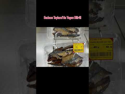 Tayland’da Sarı Etiket İndirimi 🛒 | Ucuza Alışveriş Tüyosu