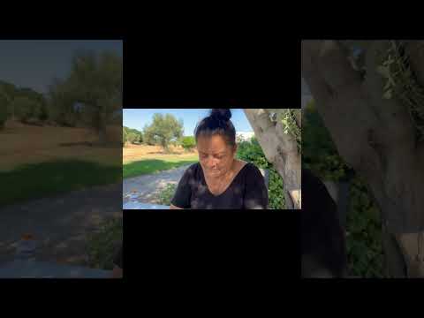 Taze Hurmadan Sofralık Hurma Yapımı