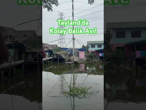 Balık Ağı Değil, Mekanik Tuzak! Tayland’dan Şaşırtıcı Yöntem