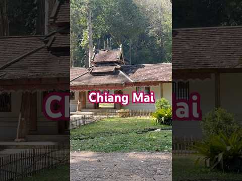 Chiang Mai’de Büyüleyici Tapınak Turu! Kuzey Tayland’ın Ruhani Yüzü