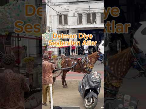 Endonezya sokaklarında nostaljik bir yolculuk: Delman atları!