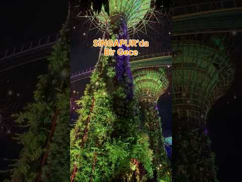 Singapur’da unutulmaz bir gece!