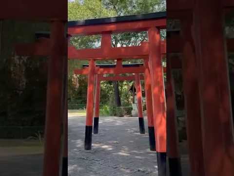 Japon köyü atmosferinde, Tayland'ın gizli cennetlerinden birindeyiz #travel  #japonvibes