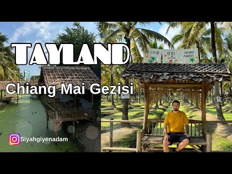 Chiang Mai Sokaklarında Gezinti & Coconut Market Turu | Tayland Seyahati #112
