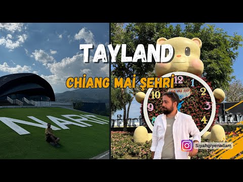 Chiang Mai Çiçek Festivali, Narit Uzay ve Yılbaşı Kutlamaları | Yeni Yıla Girmeden Önce #111