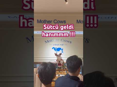 Phitsanulok’ta Süt ve Süt Ürünlü Tatlıların Lezzetini Keşfedin 🥛