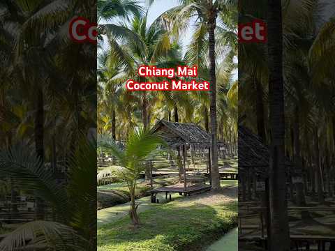 Chiang Mai Hindistancevizi Pazarı: Doğal Lezzetler ve Yerel Kültürün Buluşması 🥥 #tayland #tailand