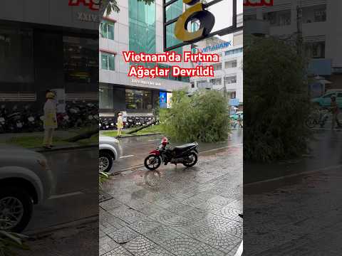 Vietnam'da Fırtına: Doğanın Gücü