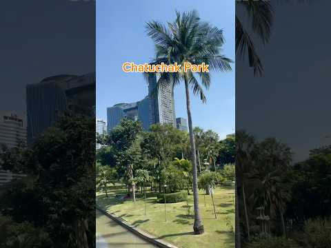 Tatland Chatucak Park'ta harika Anlar 🍦🌳