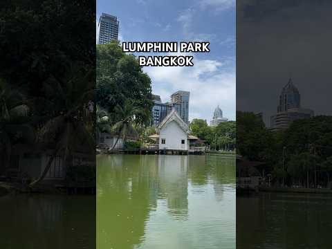 Lumphini Park Bangkok şehir merkezinde görmeniz gereken bir yer… #travel #bangkok  #tayland #eğlence