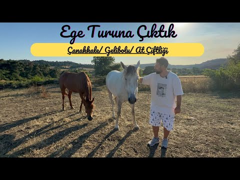 Ege Turuna Çıktık I Çanakkale’nin peynir helvası I Şampiyon yarışatları #016