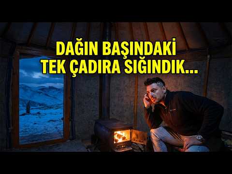 5 İneği Kurtlar Yemiş ! Dağın Başındaki Tek Çadıra Sığındık…