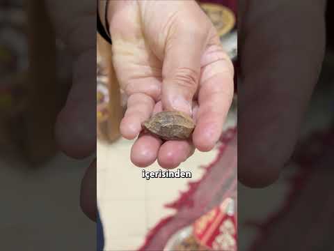 Hakiki Argan Yağı Burada! #shorts