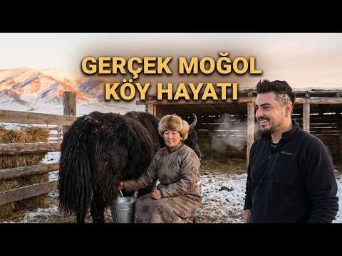 Gerçek Moğol Hayatını Yaşarken… Donmuş Hövsgöl’de Her Şey Ters Gitti!