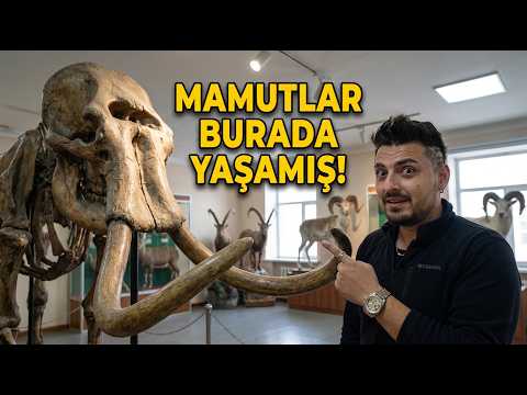 Moğolistan’ın Kuzeyinde Gerçek Vahşi Yaşam! Mamut Bile Yaşamış
