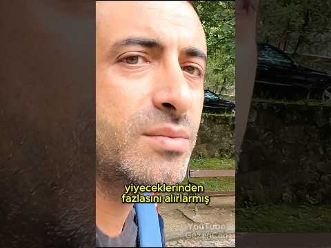 Romanya’da niye yaşlılar camış gibi yiyor?