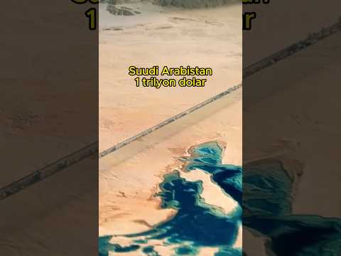 Suudilerin çılgın projesi