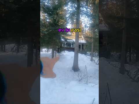 Alaska’da yaşamak..