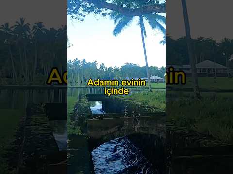 Hawaii’de zengin evi