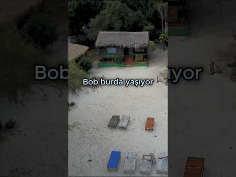 Tropik adada uyandın, ilk ne yaparsın? 😅