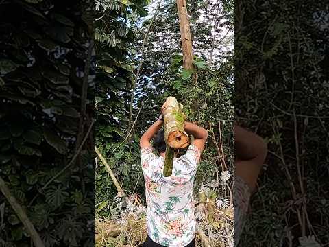 İnşallah ölmemişimdir 🥴