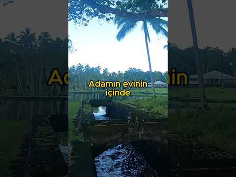 Böyle evim olsa evden çıkmam!