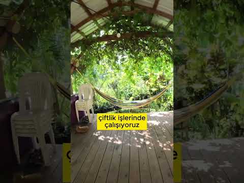 Dünyayı çiftlik çiftlik geziyorum!