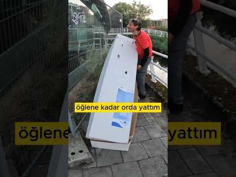 Hollandalı Kenan abi