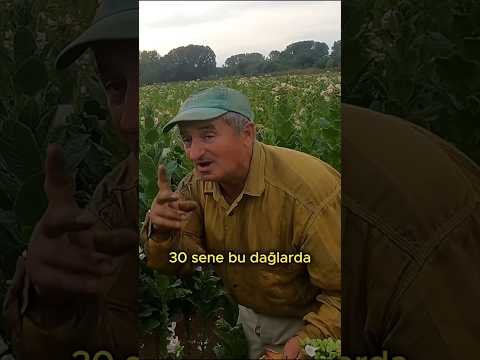 Yunanistan’da köylüler ülkeyi terkediyor