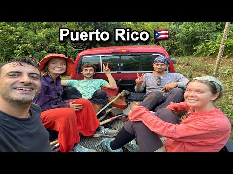 Karayiplerde adaya yerleştim: Puerto Rico 🇵🇷
